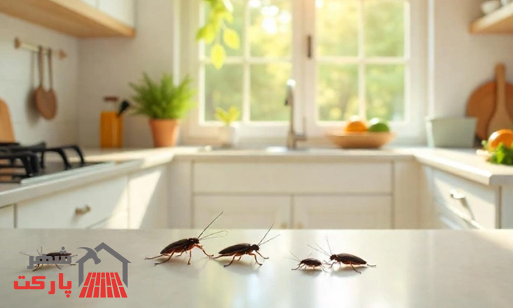 سوسک کابینت از کجا میاد