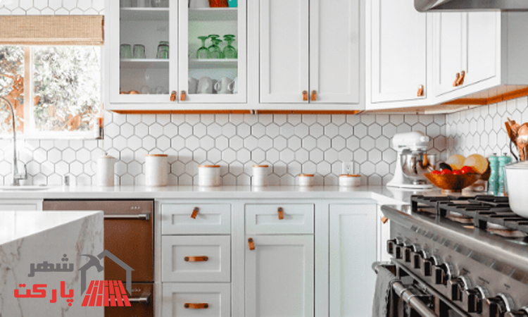 چرا وجود سوسک در کابینت آشپزخانه خبر خوبی نیست؟