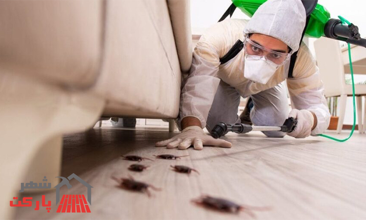 چطور می‌توان بدون استفاده از سموم سنگین، کابینت را از سوسک محافظت کرد؟